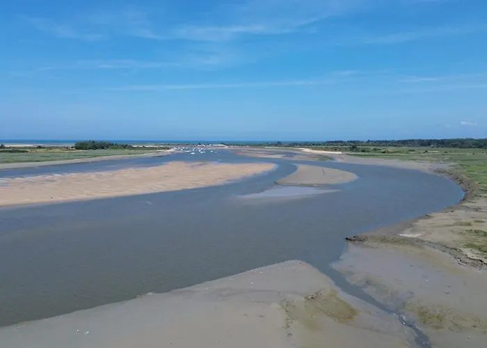 公寓 Escapade A Cabourg, 300m Plage, Calme Et Chaleureux